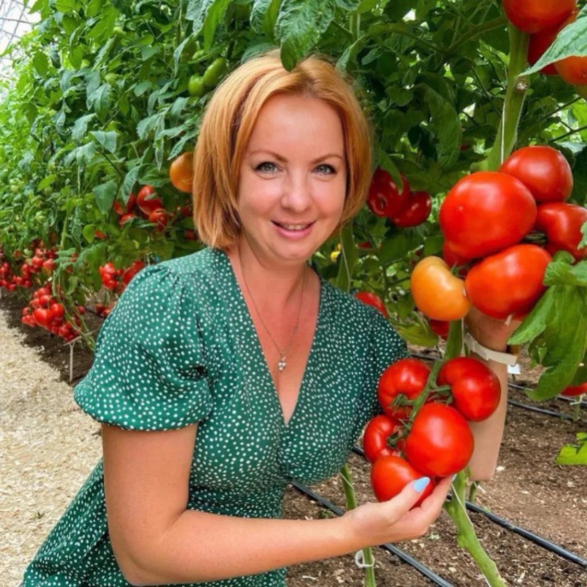 Ленивый садовод Полина Poli_na_malinaaa