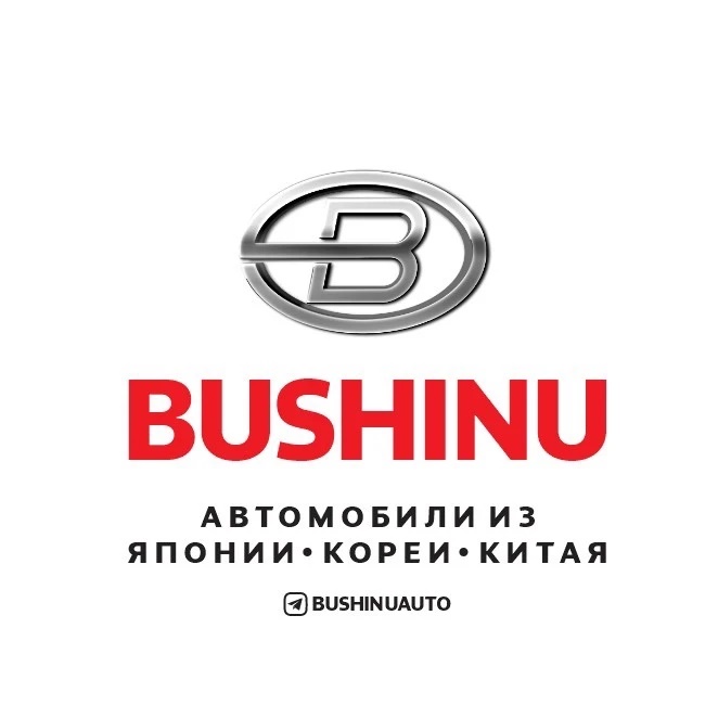 BUSHINUAUTO