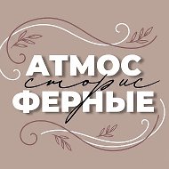 АТМОСФЕРНЫЕ СТОРИС