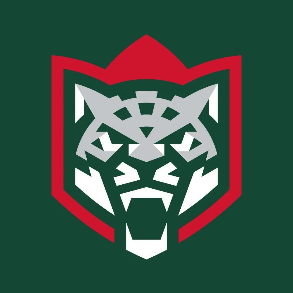 ХК «Ак Барс»