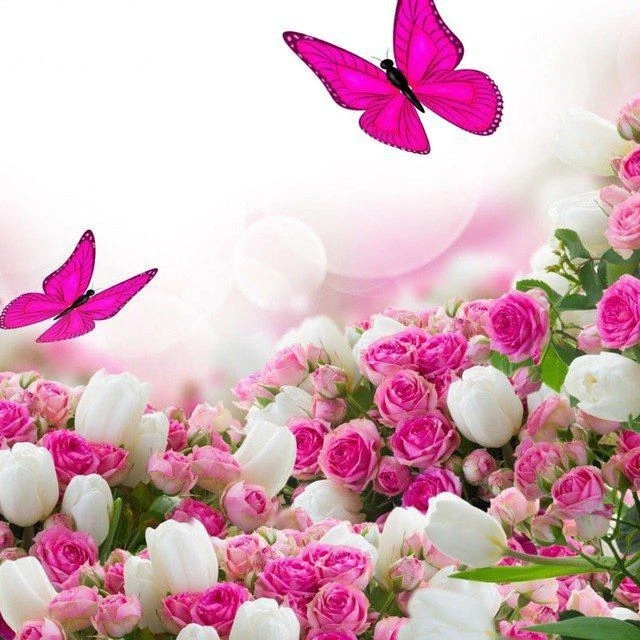 Открытки 💕 С добрым утром Спокойной ночи Днем рождения Доброе утро Поздравления Православные Добрый день вечера Кошки Пожеланиями Картинки Котики Открытка дня Доброй Красивые Животные Маникюр Музыка