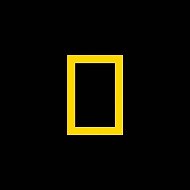 Удивительный мир