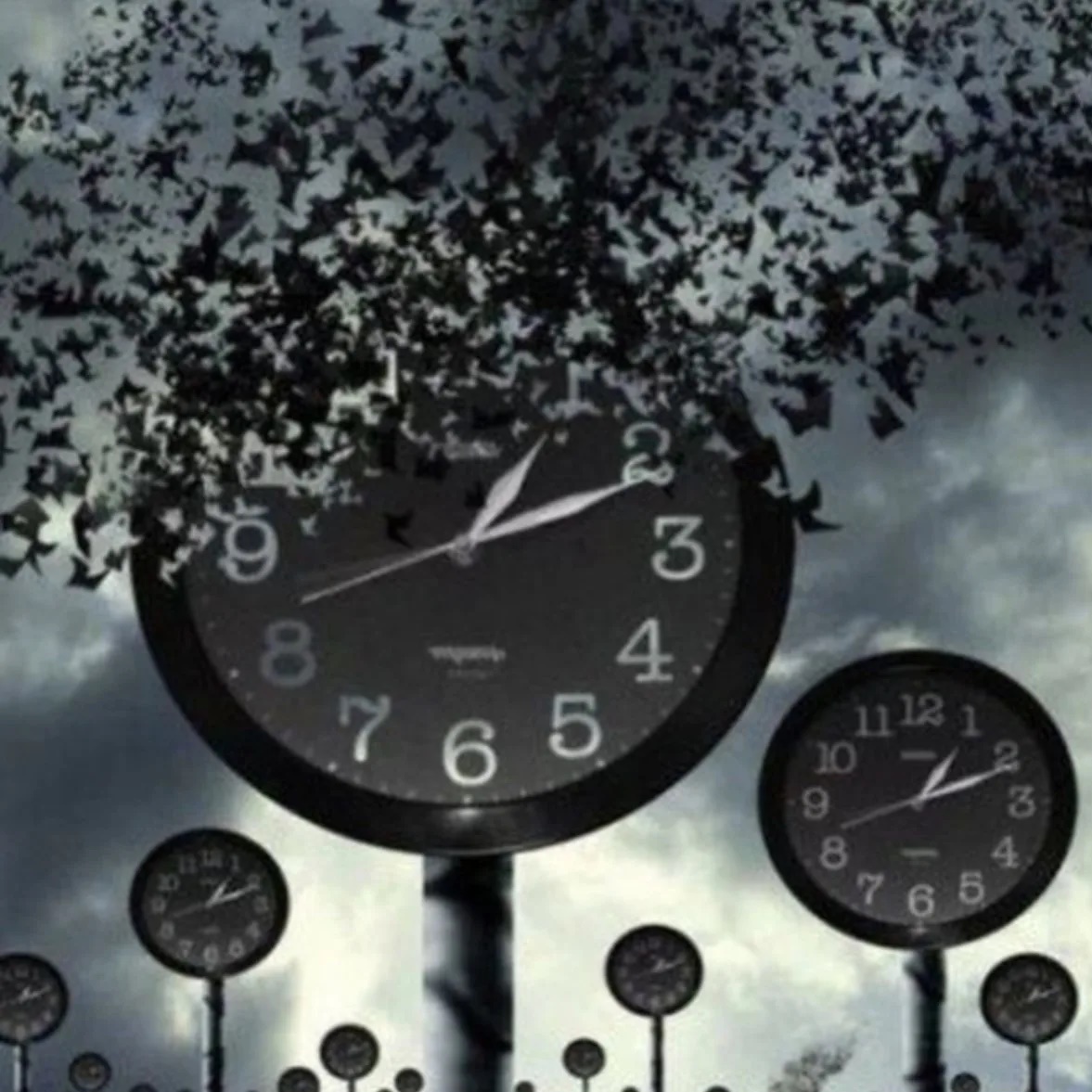 Цитаты жизни