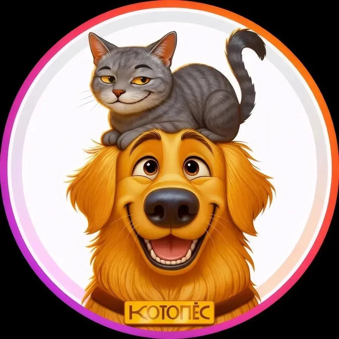 КотоПёс -  кошки и собаки 🐱🐶  | приколы | животные | коты