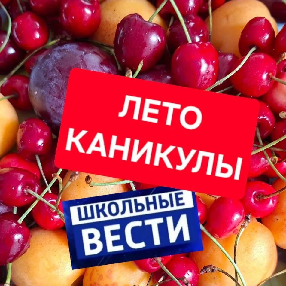 МБОУ "Кирилловская СОШ" новости
