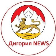 Digoria NEWS