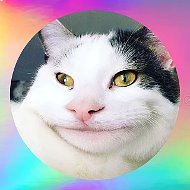 будни школьника