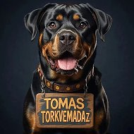 Tomas Torkvemada Z