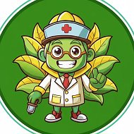 Подорожник | Здоровье