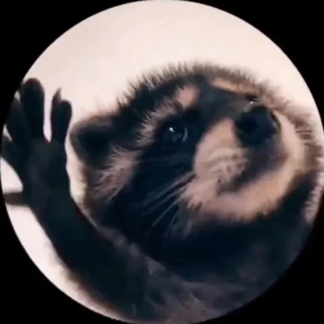 Видео дня