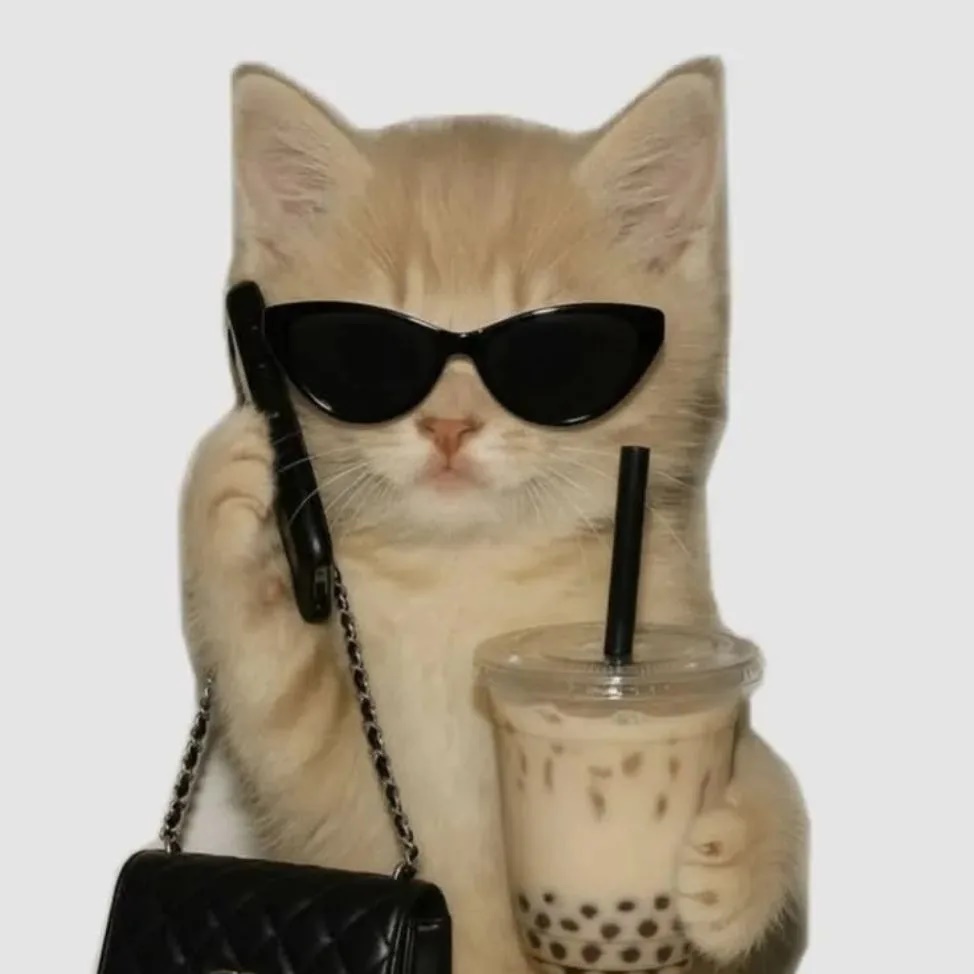 Котятки объясняют