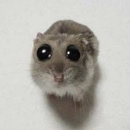 Стикеры и Эмодзи