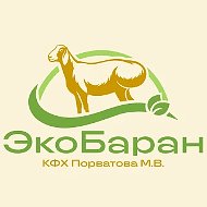 Экоферма "ЭкоБаран" в Хакасии