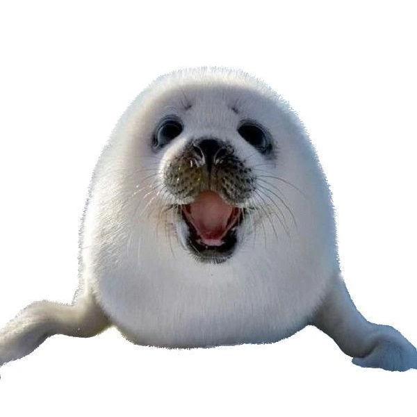 ☆#¡Тюленчики поясняют!×♡