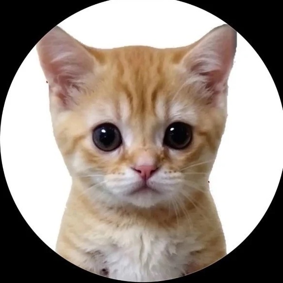 КОТЯТА ПОЯСНЯЮТ