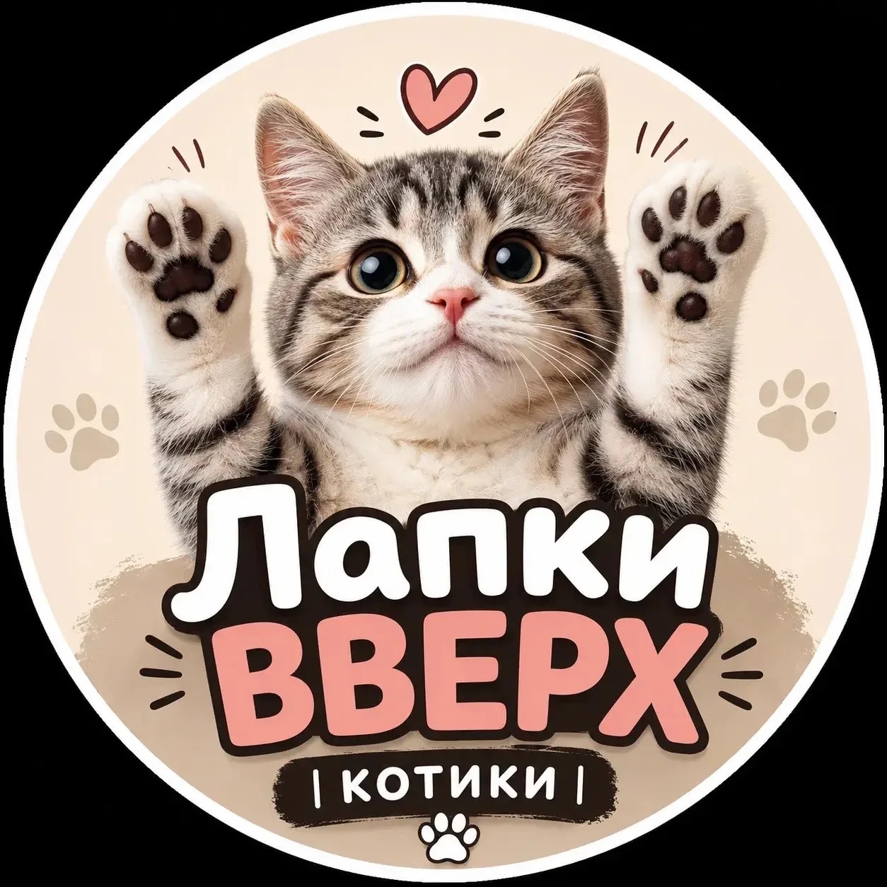 Лапки Вверх | Котики
