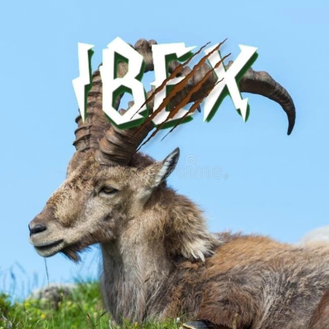 🐐 |〔ибекс〕