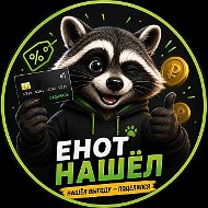 Енот Нашел